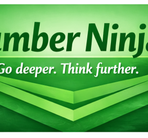 number ninjas